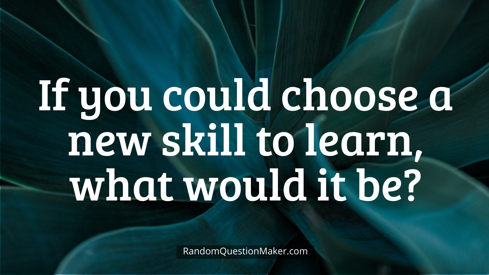 If you could choose a new skill to learn, what would it be