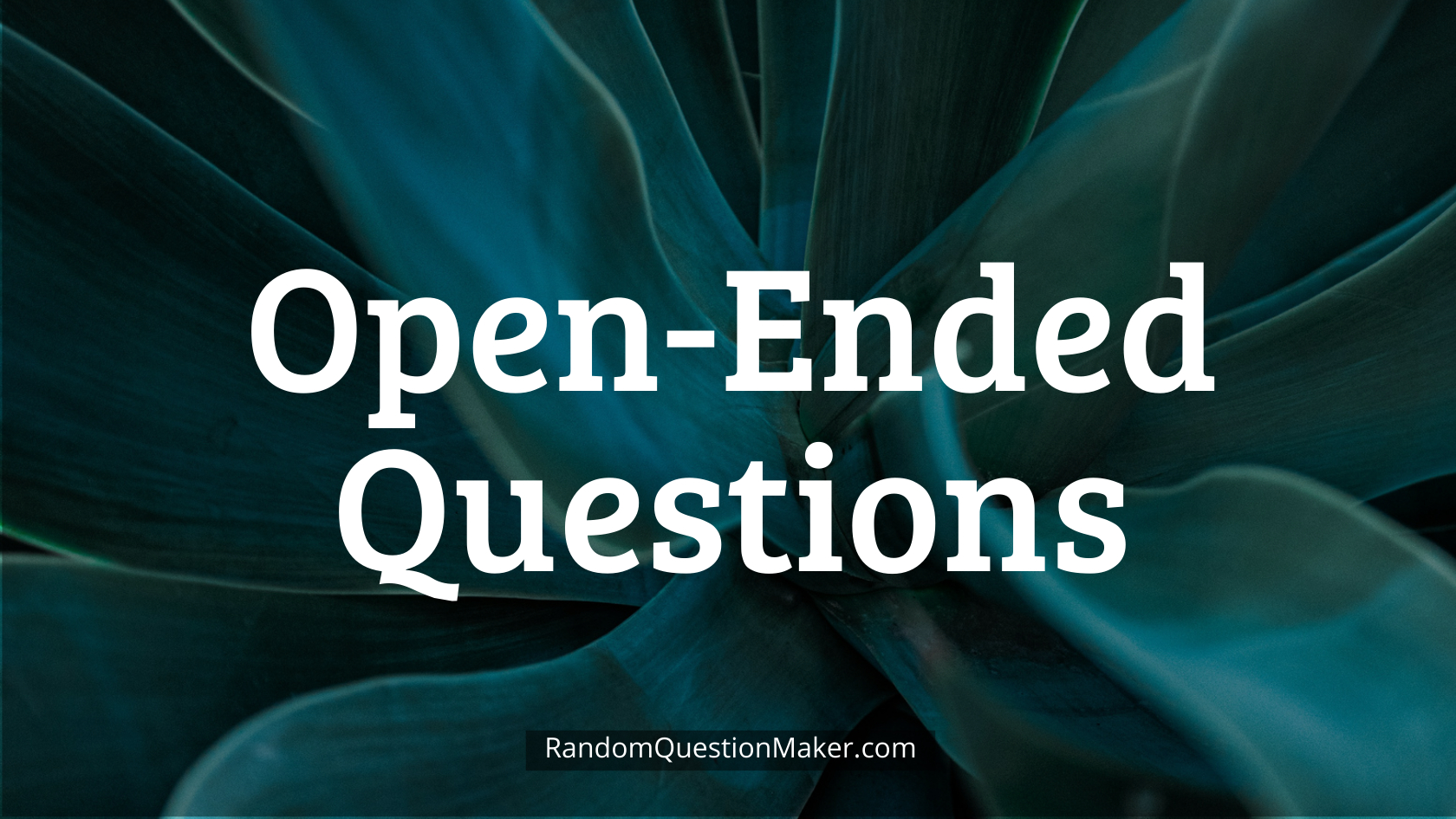 Open-Ended Questions