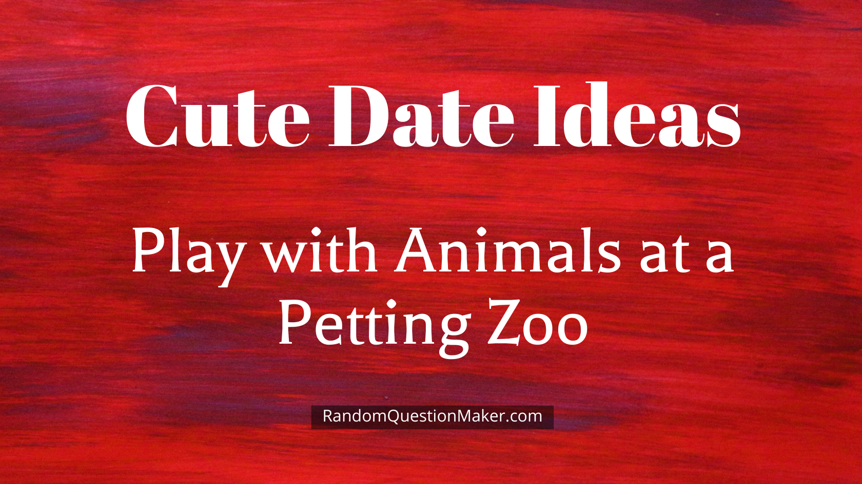 Play with Animals at a Petting Zoo