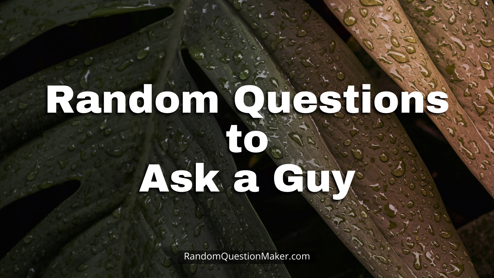 Random Questions to Ask a Guy