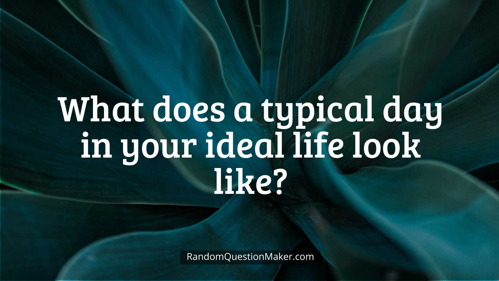 What does a typical day in your ideal life look like