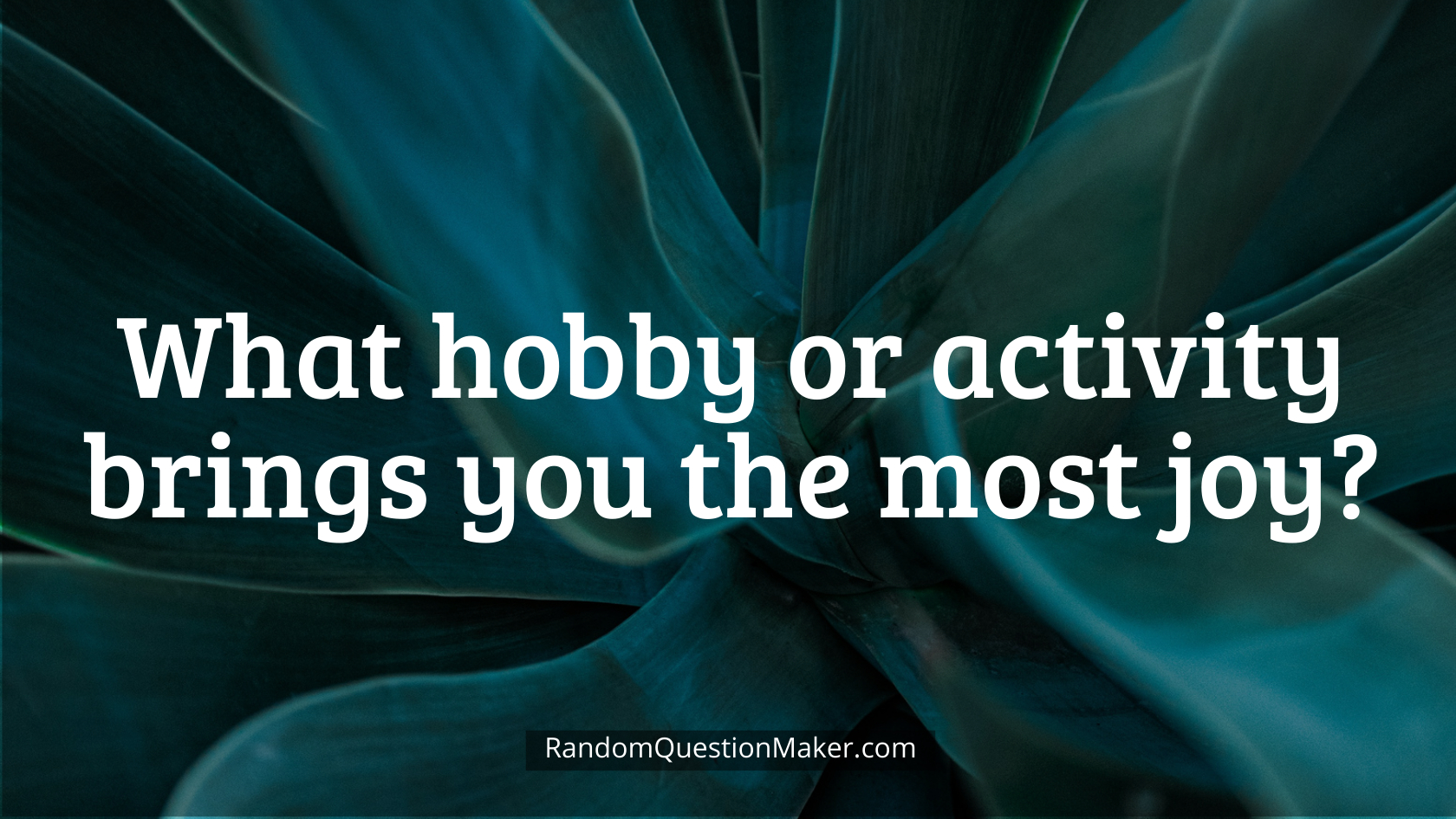 What hobby or activity brings you the most joy