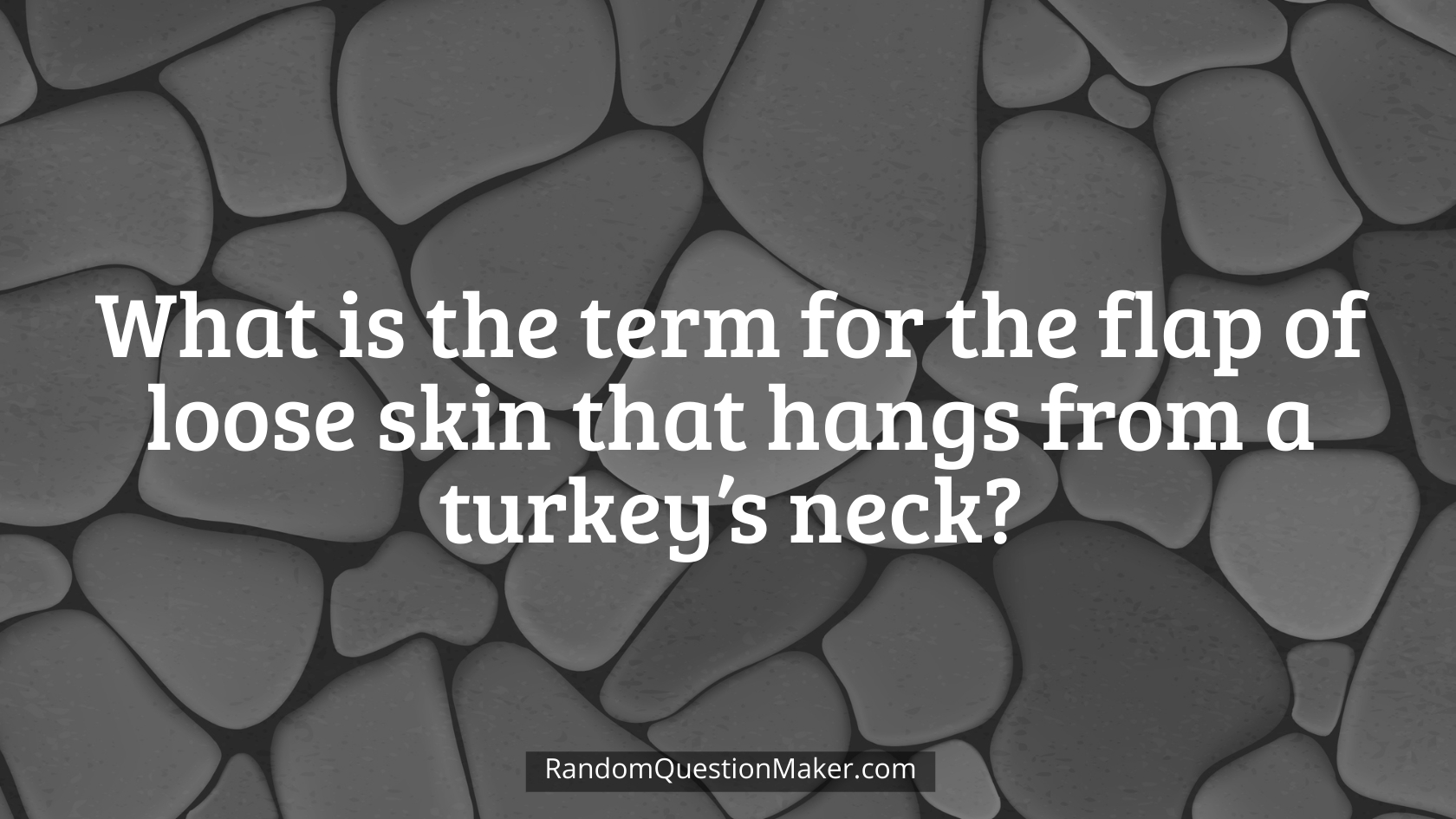 What is the term for the flap of loose skin that hangs from a turkey’s neck