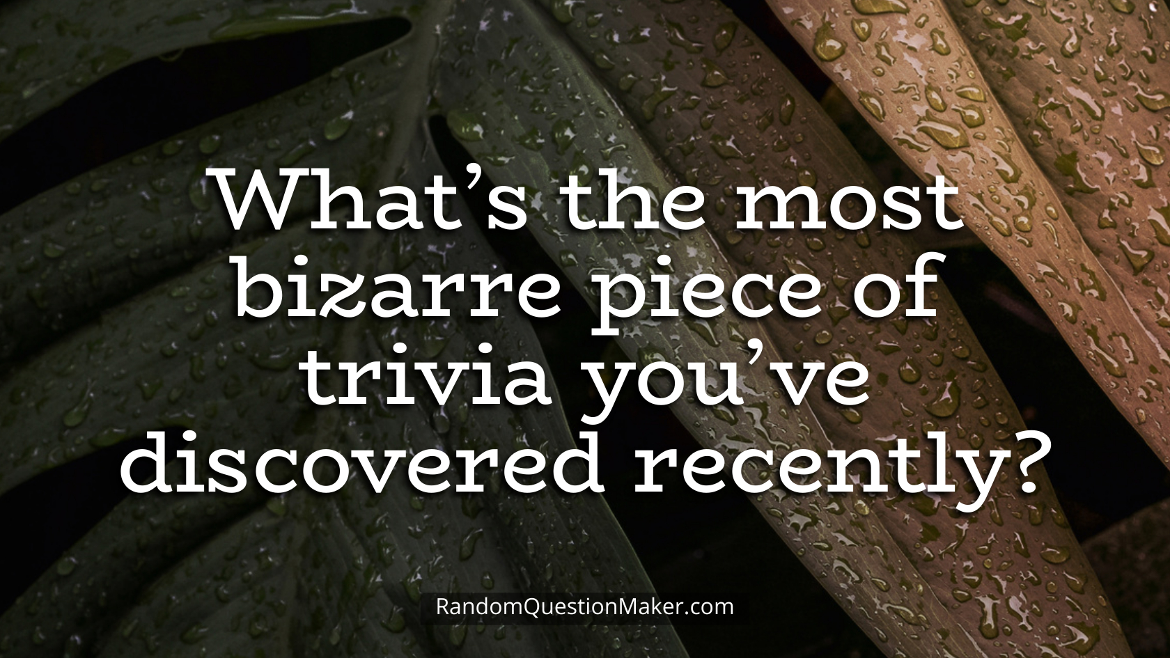 What’s the most bizarre piece of trivia you’ve discovered recently