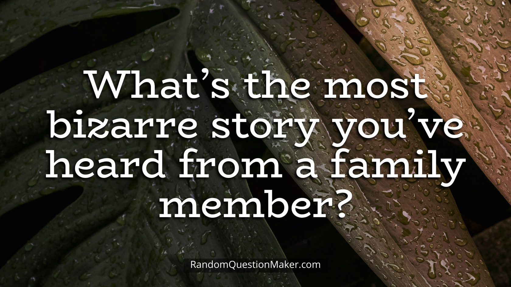What’s the most bizarre story you’ve heard from a family member