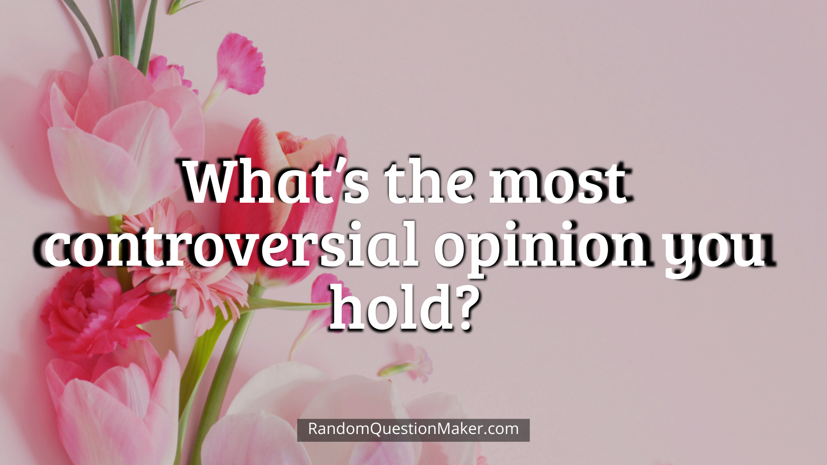 What’s the most controversial opinion you hold
