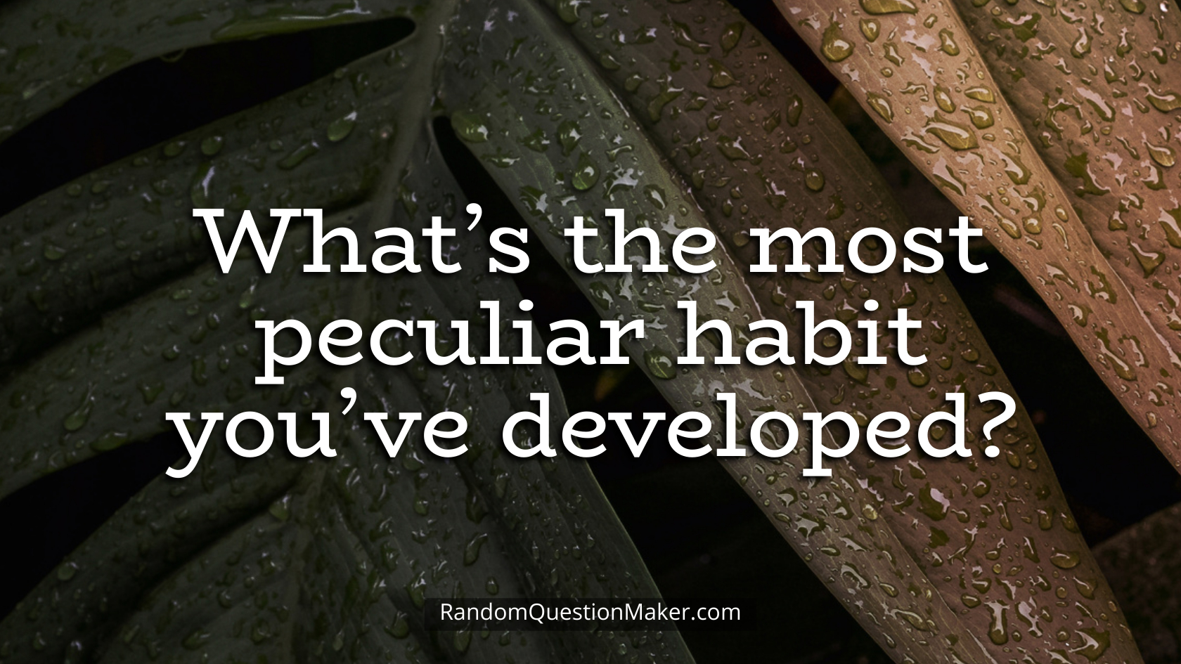 What’s the most peculiar habit you’ve developed
