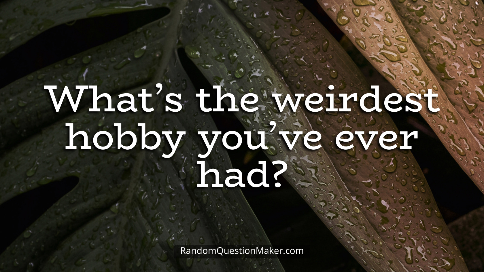 What’s the weirdest hobby you’ve ever had