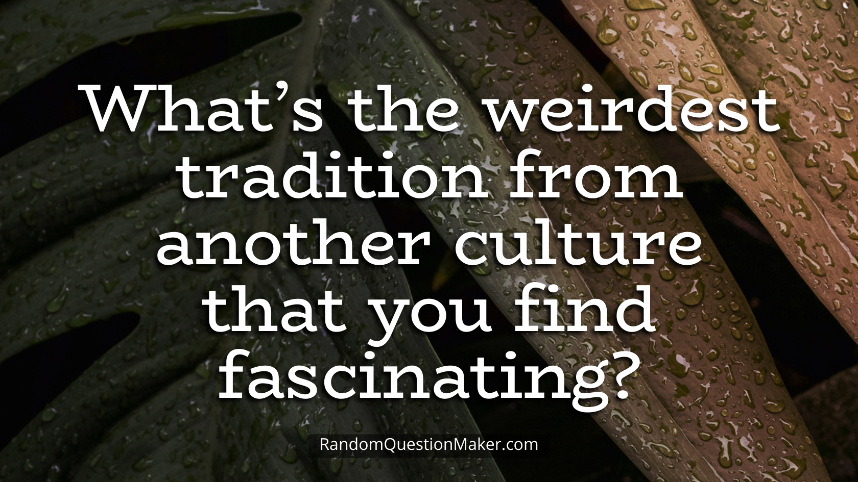 What’s the weirdest tradition from another culture that you find fascinating