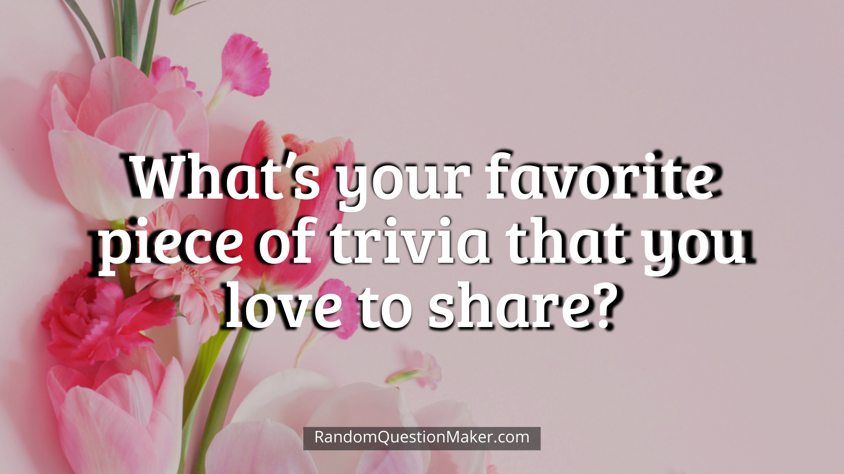 What’s your favorite piece of trivia that you love to share